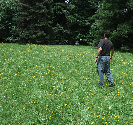 Disc Golf New Zealand